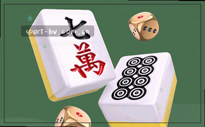 移动端适配，多端畅览